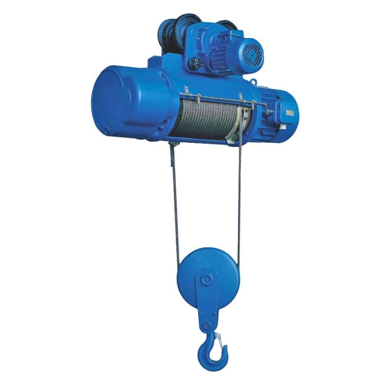 Hoist Motor